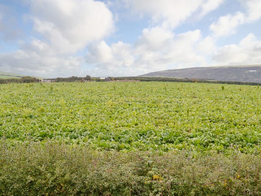 View | Lana Park Cottages - The Stables, Welcombe, nr. Bude