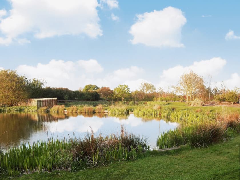 Ponds | West End Farmhouse, Ulrome, nr. Bridlington