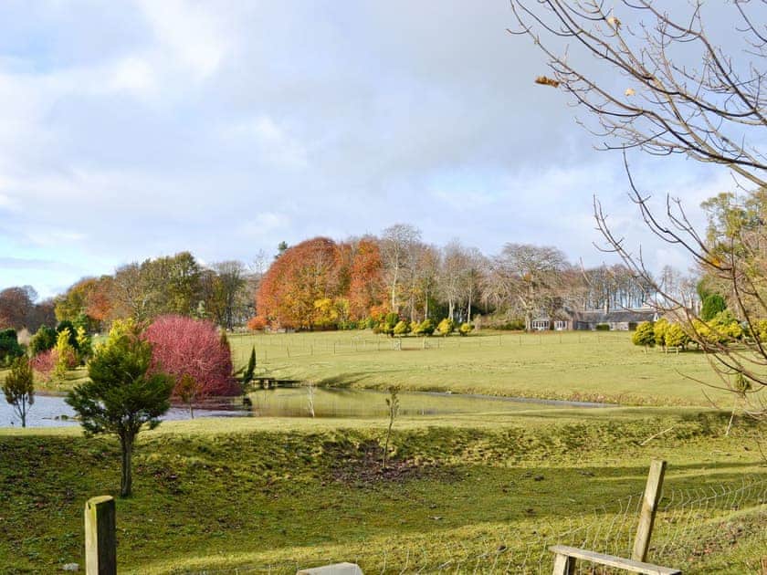 Garden and grounds | The Mews, Insch near Inverurie