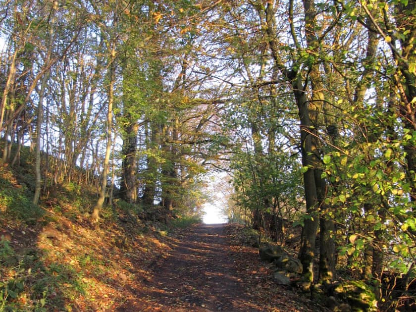 Abundant countryside walks | Lilac Cottage, Sedbusk, near Hawes