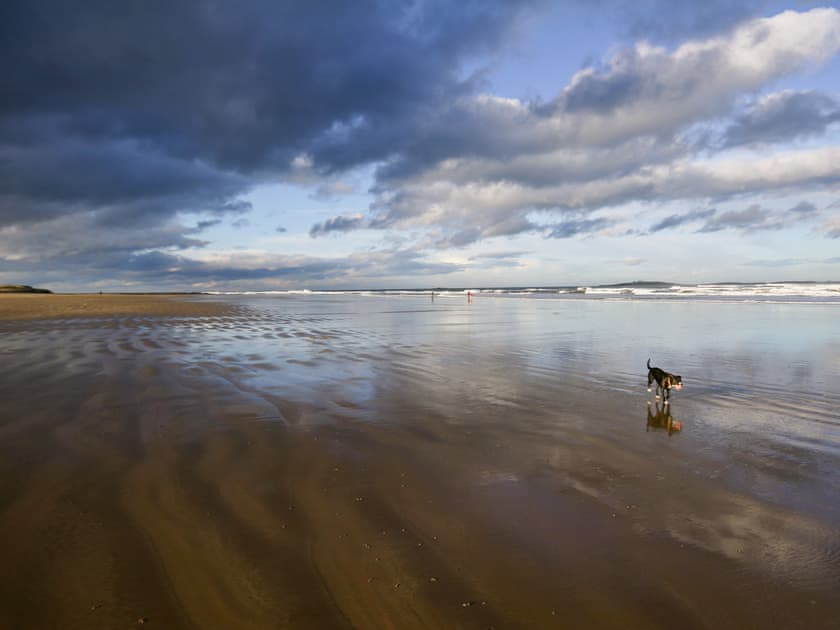 Surrounding area | Farne Island View, Seahouses