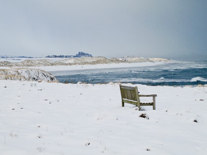 Surrounding area | Farne Island View, Seahouses
