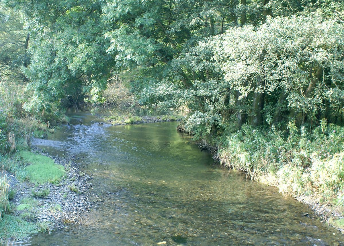 Aberdwylan Holiday Park - Holiday lodge in South Wales - Image 5