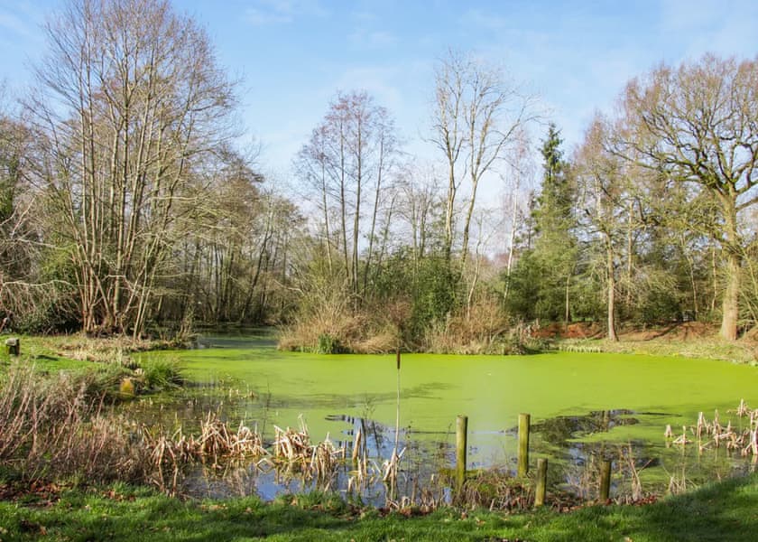 Acksea Lodges, Oswestry