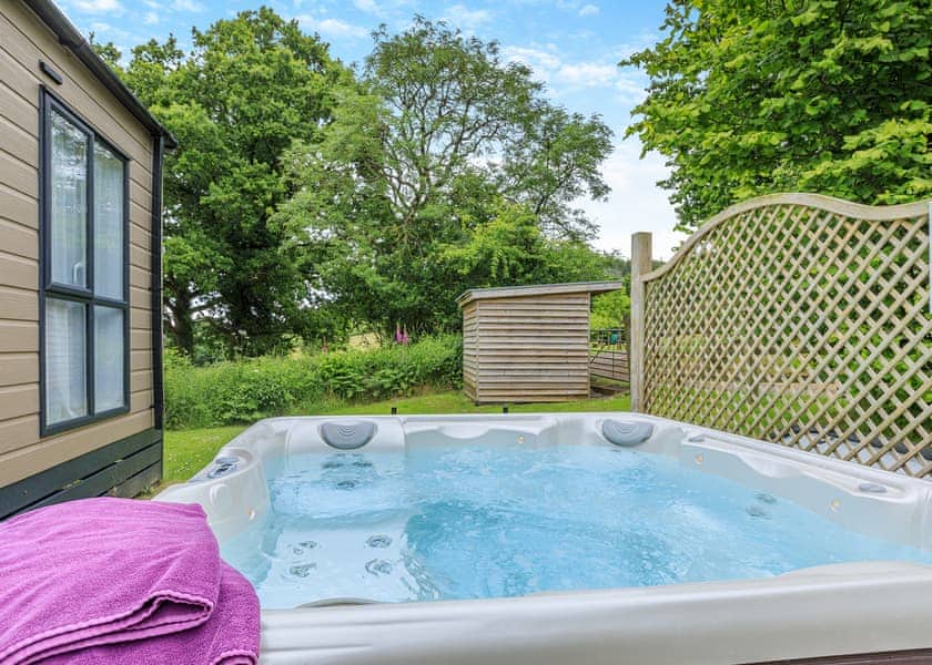 Typical | Symphony 3 VIP Pet - Andrewshayes Orchard Retreat, Axminster
