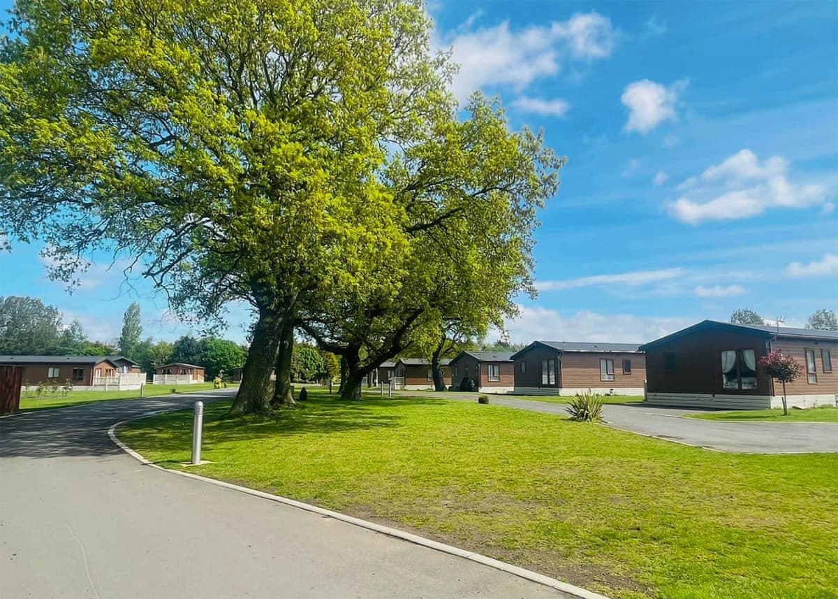Allerthorpe Country Park - Holiday lodge in Yorkshire - Image 2