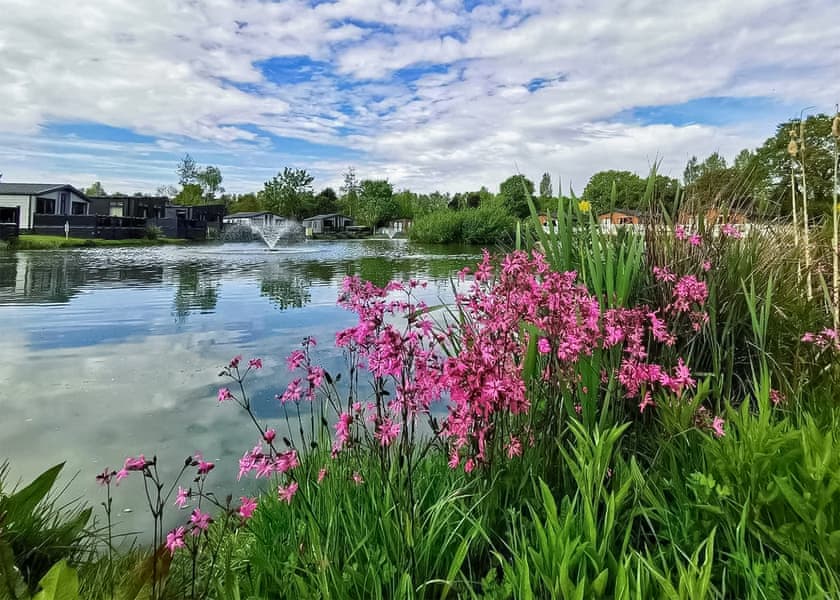 Allerthorpe Country Park, Pocklington