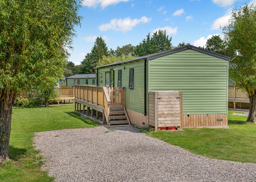 Wensleydale (Pet) - Akebar Park, Leyburn