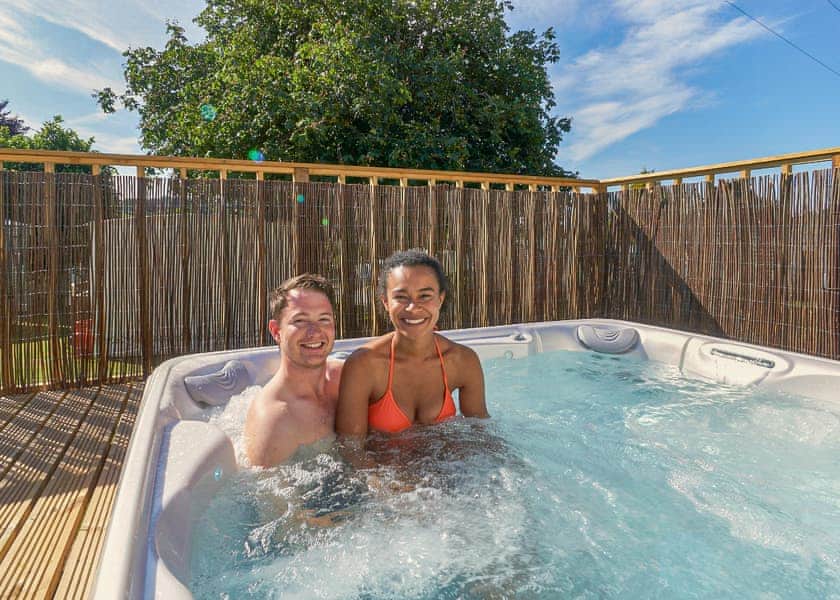 Beech 2 VIP - Andrewshayes Holiday Park, Axminster