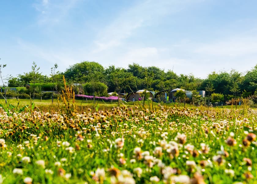 Atlantic Farm Surf Pods, Bude