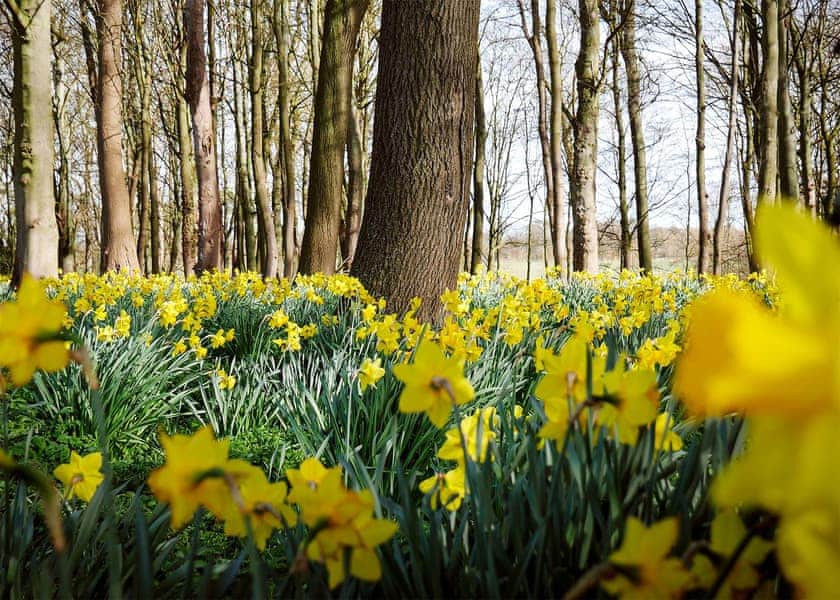 Burton Constable Holiday Park, Sproatley