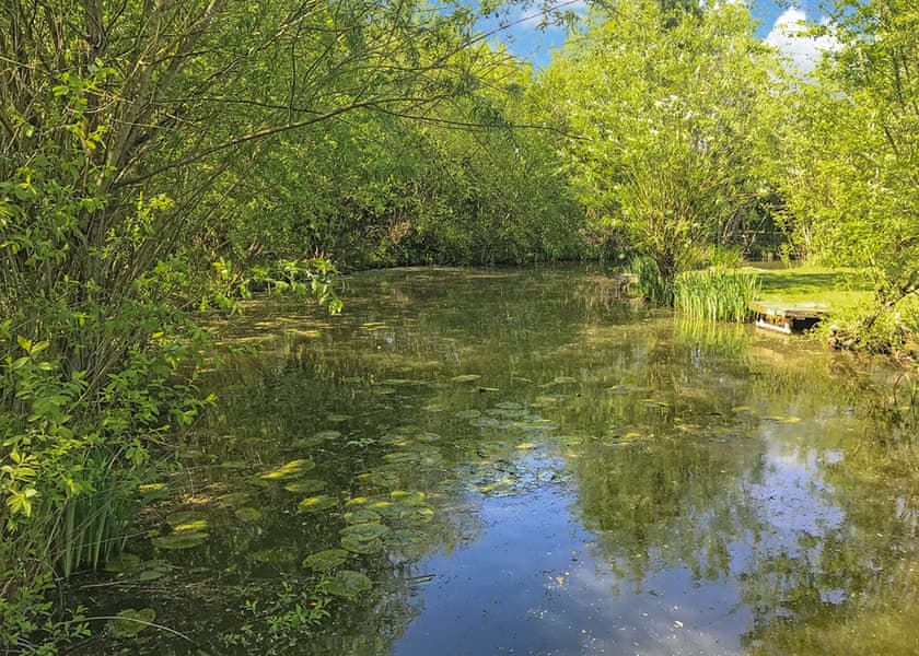 Beechwood Park, Elvaston