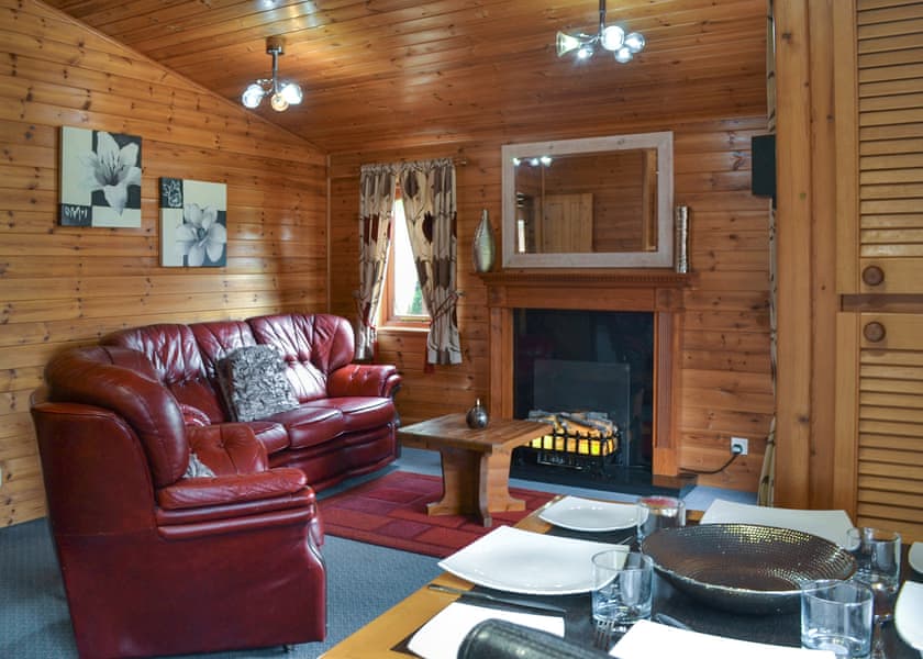 Swallow - Beechwood Park, Elvaston