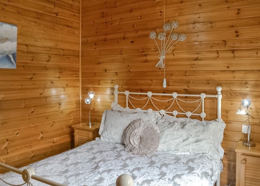 Swallow - Beechwood Park, Elvaston