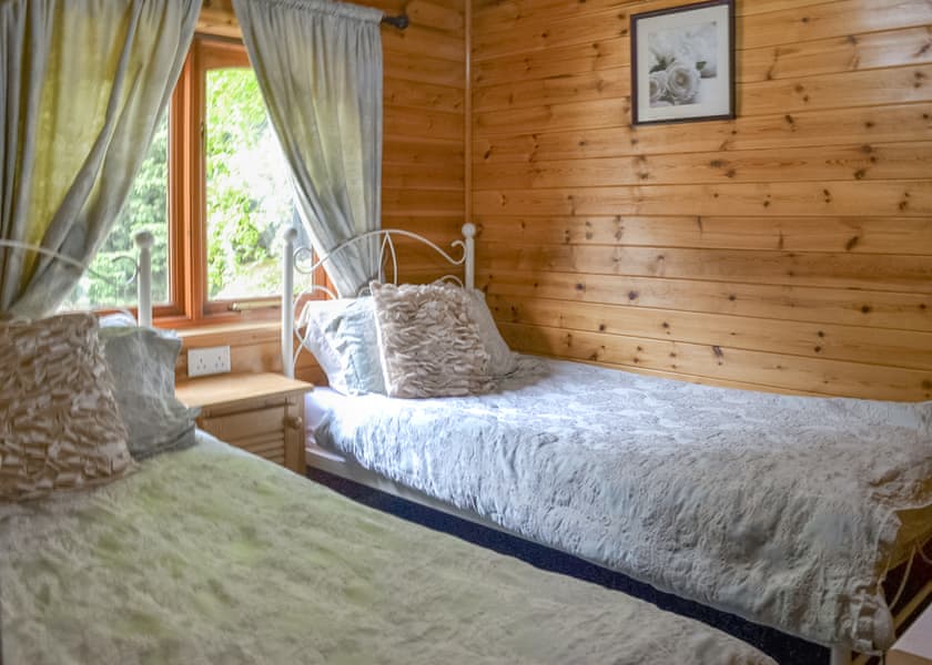 Swallow - Beechwood Park, Elvaston