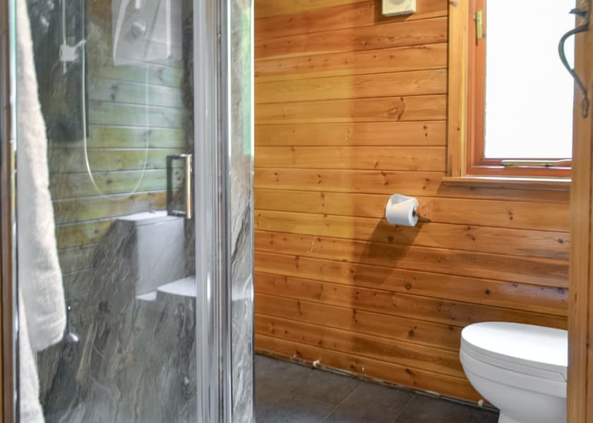 Swallow - Beechwood Park, Elvaston