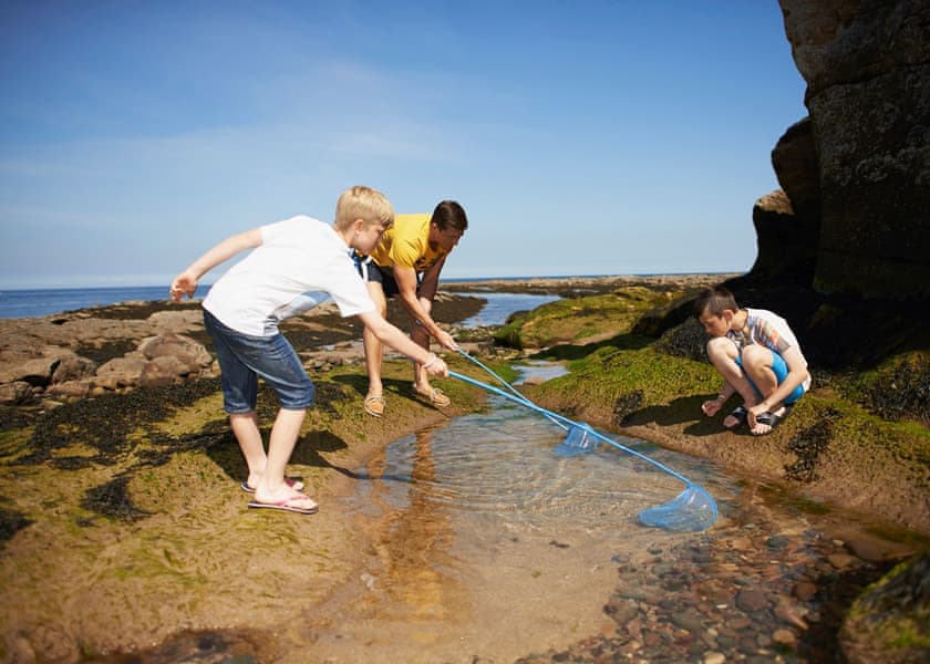 Berwick Holiday Park, Berwick–Upon–Tweed