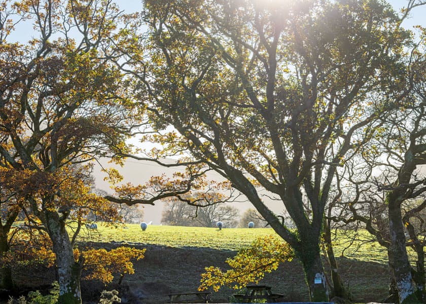Beddgelert Snowdonia, Beddgelert, Gwynedd