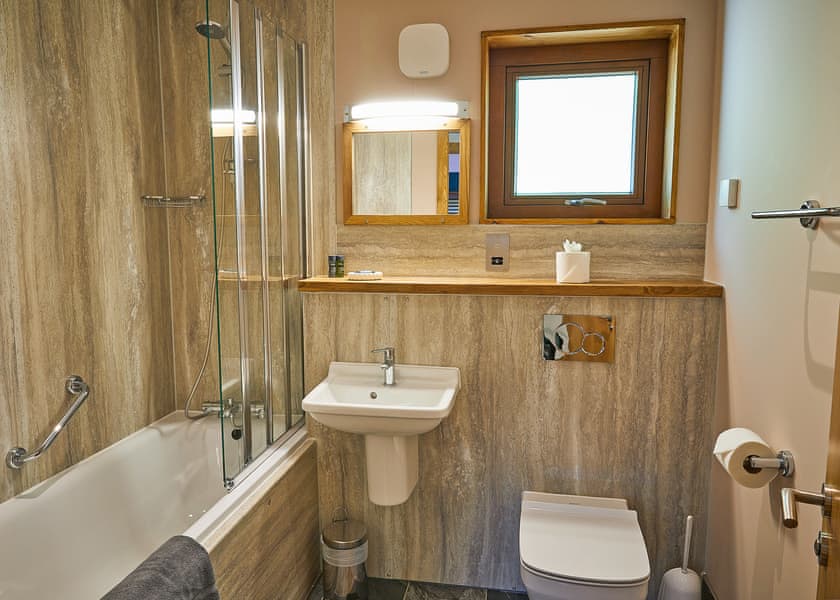 Typical | Silver Birch 2 - Beddgelert Snowdonia, Beddgelert, Gwynedd