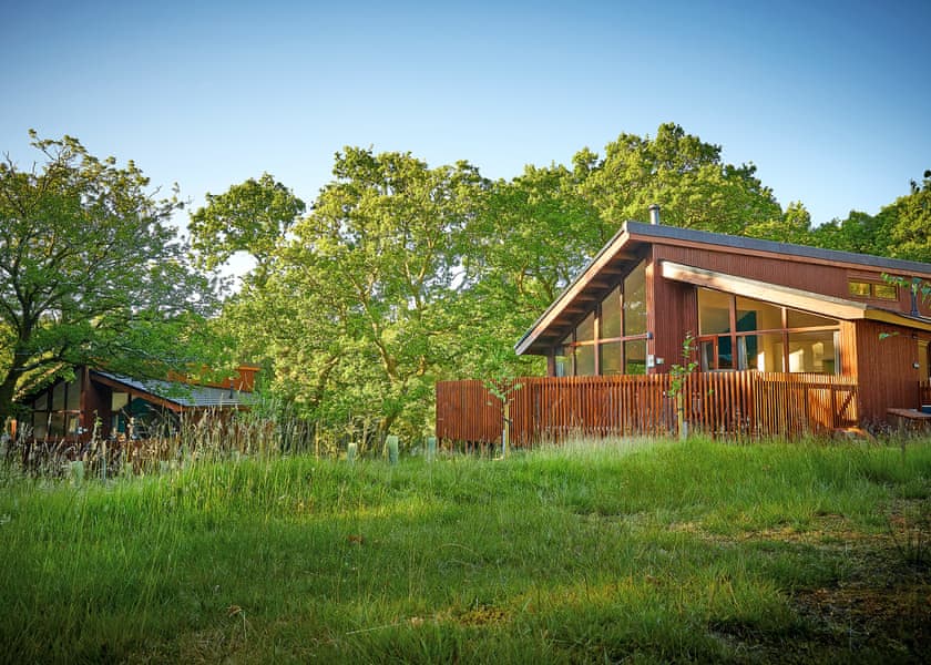 Typical | Silver Birch 2 WF (Pet) - Beddgelert Snowdonia, Beddgelert, Gwynedd