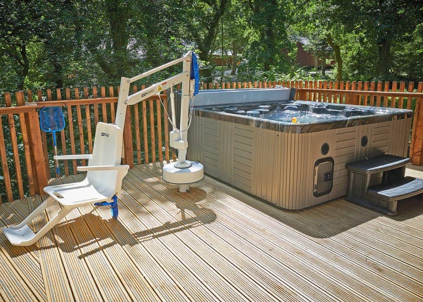 Typical | Silver Birch 2 WF (Pet) - Beddgelert Snowdonia, Beddgelert, Gwynedd
