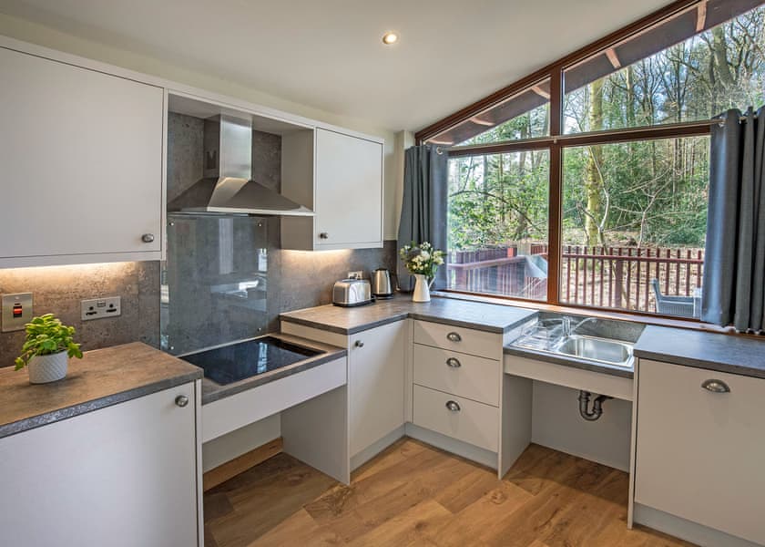 Typical | Silver Birch 2 WF (Pet) - Beddgelert Snowdonia, Beddgelert, Gwynedd