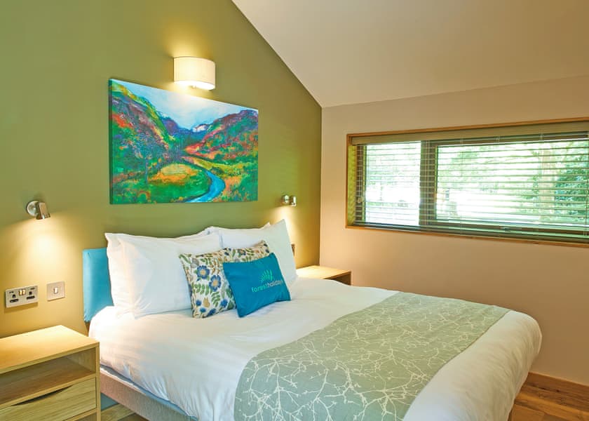 Typical | Silver Birch 2 WF (Pet) - Beddgelert Snowdonia, Beddgelert, Gwynedd