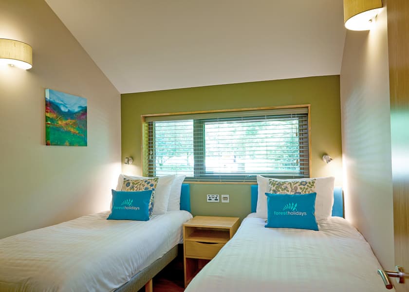 Typical | Silver Birch 2 WF (Pet) - Beddgelert Snowdonia, Beddgelert, Gwynedd