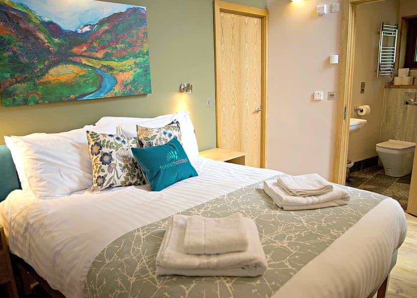 Typical | Silver Birch 3 (Pet) - Beddgelert Snowdonia, Beddgelert, Gwynedd