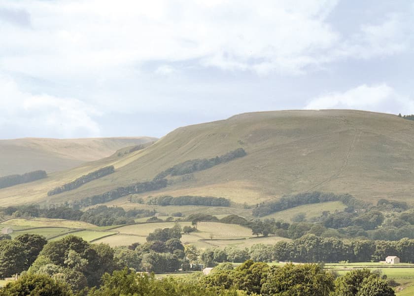 The park setting<br />