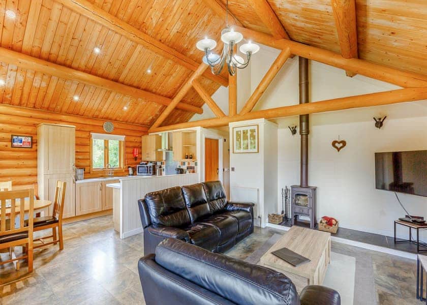 Michigan Lodge - Black Hall Lodges, Knighton