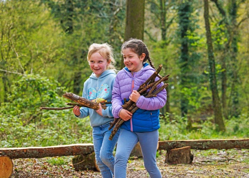 Blackwood Forest Lodges, Micheldever, Nr Winchester
