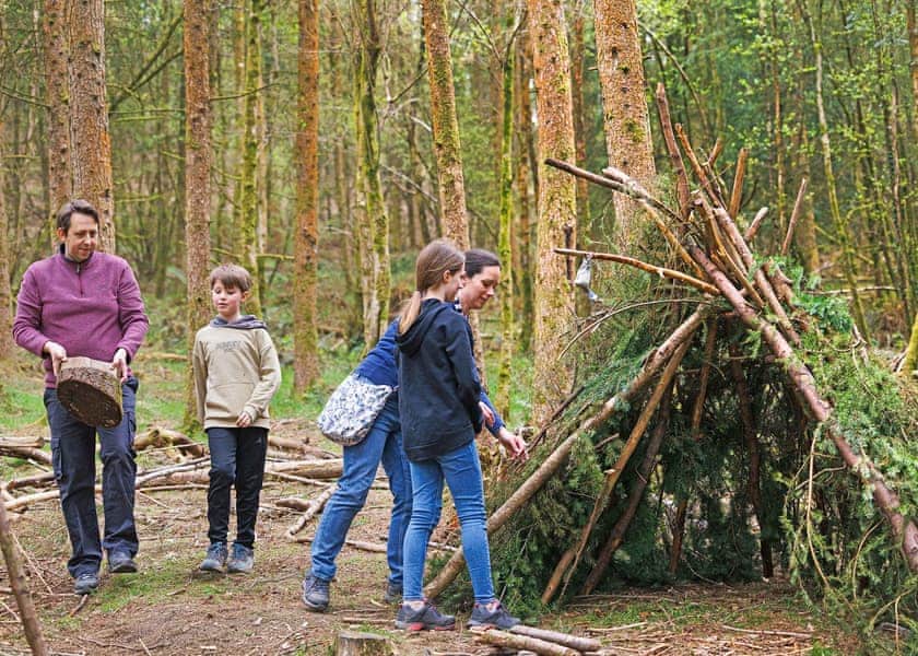 Blackwood Forest Lodges, Micheldever, Nr Winchester