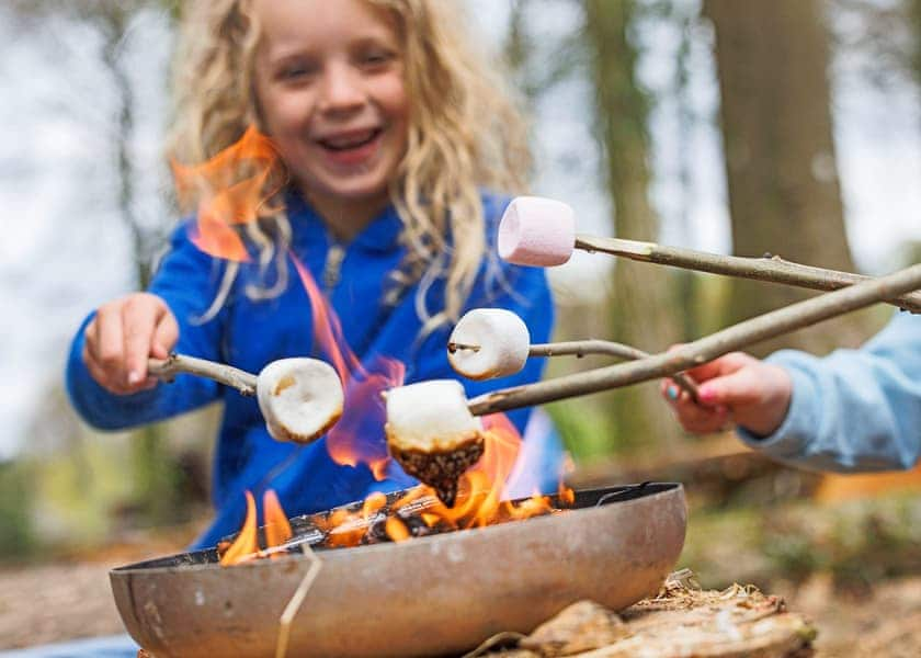 Blackwood Forest Lodges, Micheldever, Nr Winchester