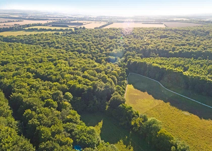 Blackwood Forest Lodges, Micheldever, Nr Winchester