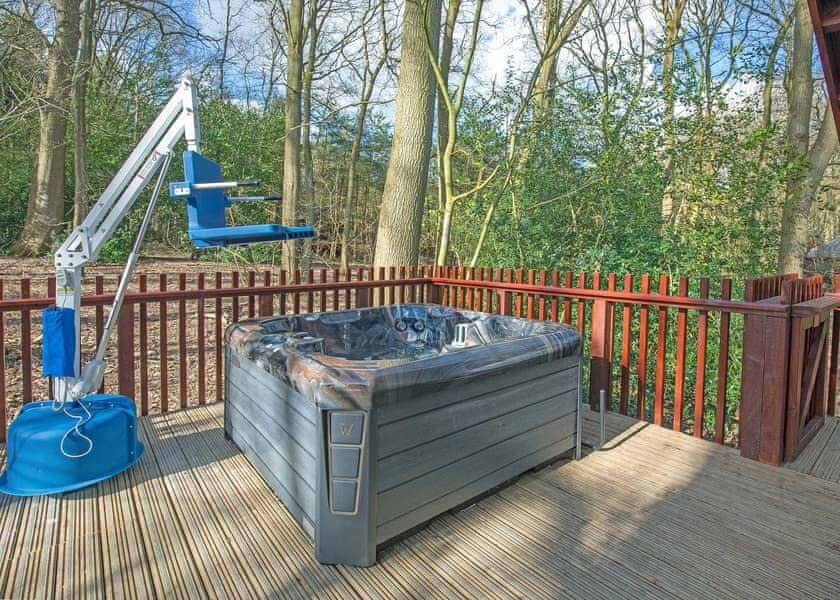 Typical | Silver Birch 2 WF (Pet) - Blackwood Forest Lodges, Micheldever, Nr Winchester