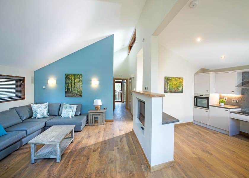 Typical | Silver Birch 2 WF (Pet) - Blackwood Forest Lodges, Micheldever, Nr Winchester