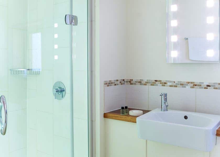 Typical | Silver Birch 3 (Pet) - Blackwood Forest Lodges, Micheldever, Nr Winchester
