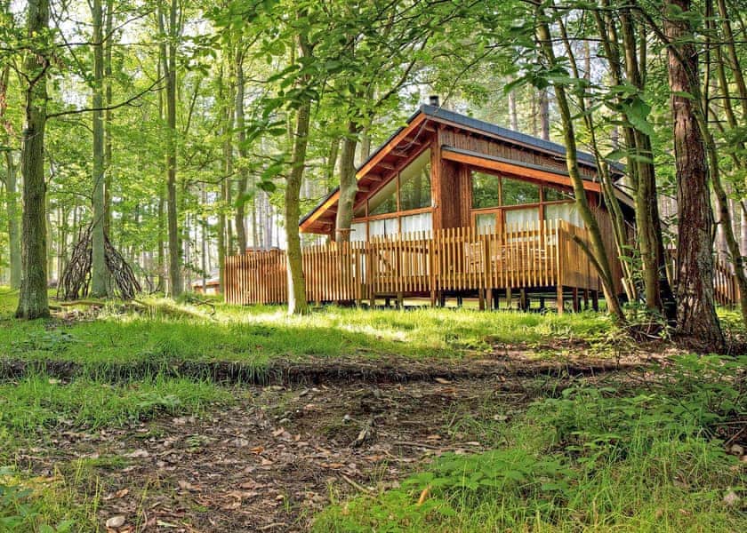 Typical | Golden Oak 2 (Pet) - Blackwood Forest Lodges, Micheldever, Nr Winchester