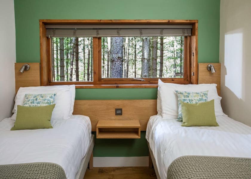 Typical | Golden Oak 2 (Pet) - Blackwood Forest Lodges, Micheldever, Nr Winchester
