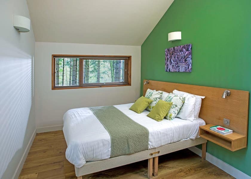 Typical | Golden Oak Tree House (Pet) - Blackwood Forest Lodges, Micheldever, Nr Winchester