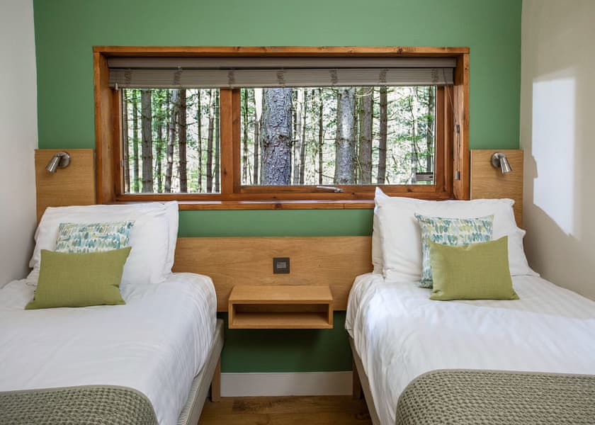 Typical | Golden Oak 3 - Blackwood Forest Lodges, Micheldever, Nr Winchester