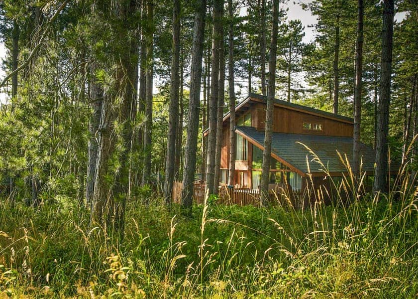 Typical | Golden Oak 4 - Blackwood Forest Lodges, Micheldever, Nr Winchester