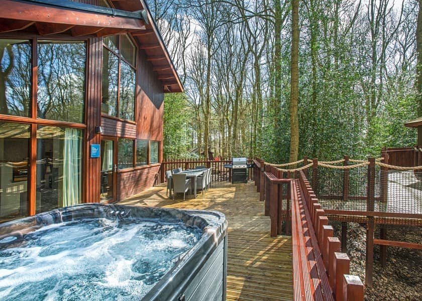 Typical | Golden Oak Treehouse - Blackwood Forest Lodges, Micheldever, Nr Winchester