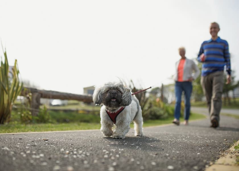 Blue Dolphin Holiday Park, Nr Filey 