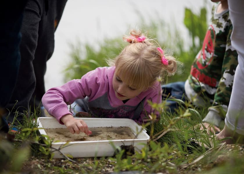 Blue Dolphin Holiday Park, Nr Filey 