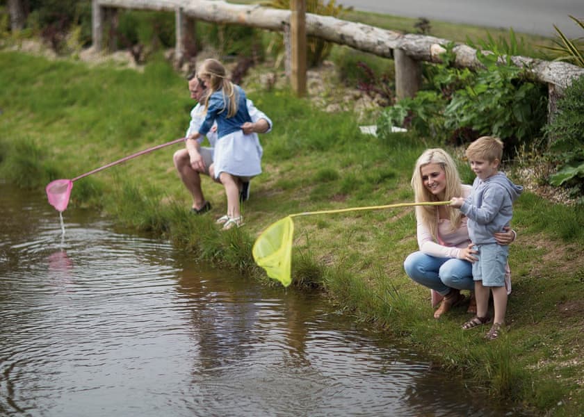 Blue Dolphin Holiday Park, Nr Filey 