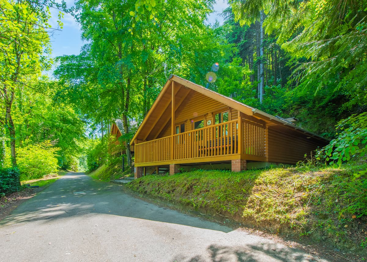 Bulworthy Forest Lodges - Holiday lodge in South West England - Image 3