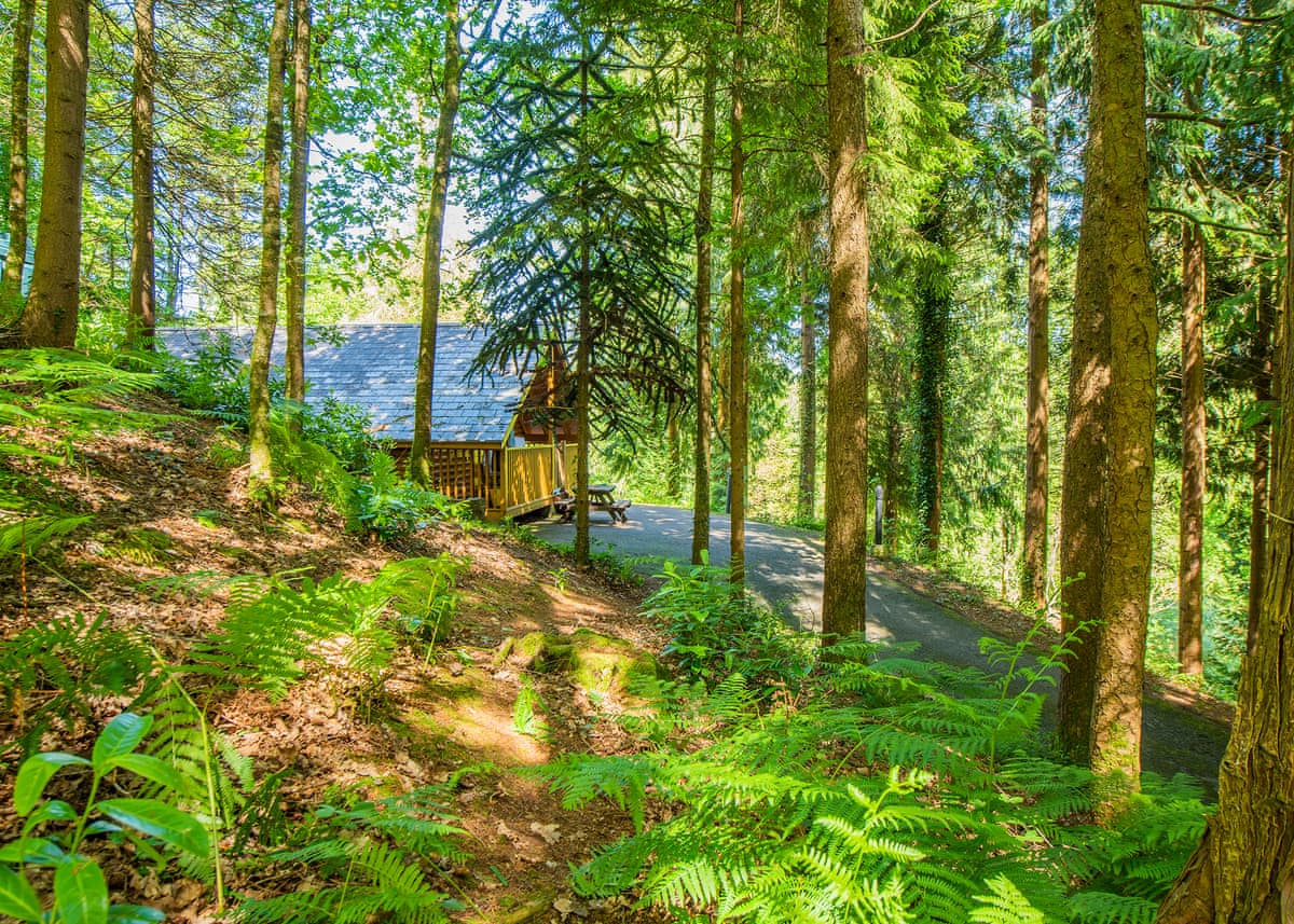 Bulworthy Forest Lodges - Holiday lodge in South West England - Image 4