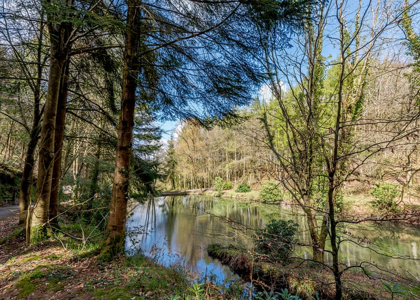 Bulworthy Forest Lodges, Webbery, Bideford
